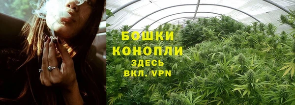 хмурый Нефтекумск